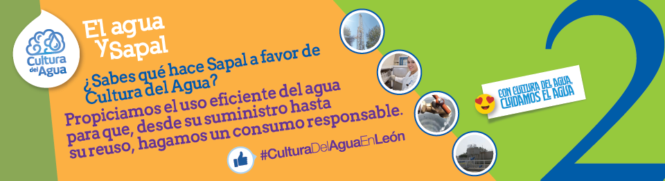 contenido web 2 01