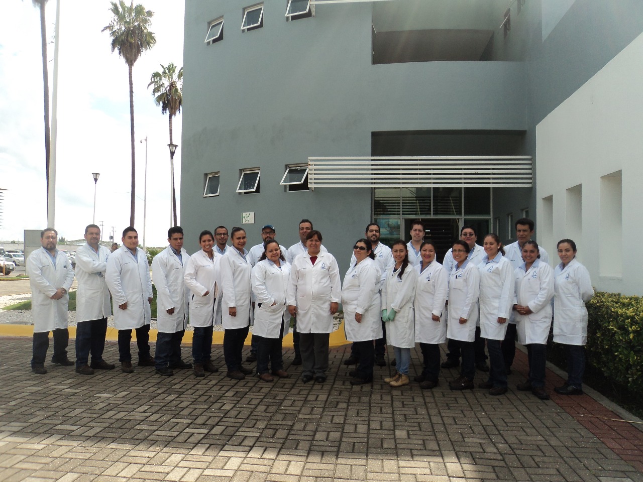 lab